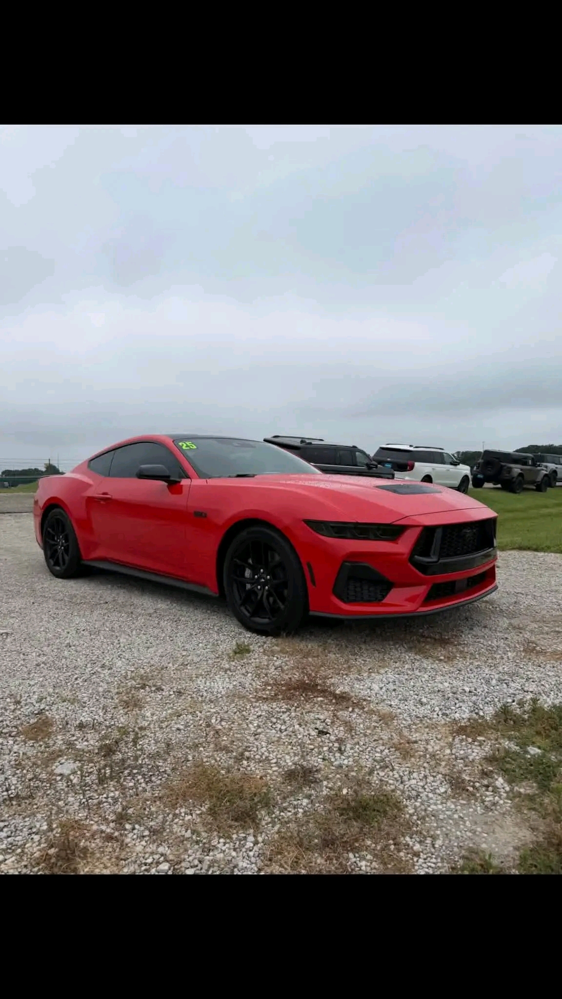 Ford Mustang GT Premium Coupe 2D